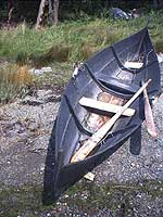 wilbur_viking_mini.jpg