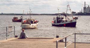 Fiskelflottan