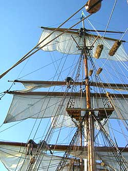 0507_Segel.jpg